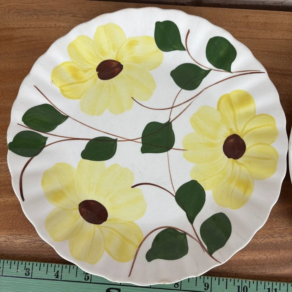 Set of 2 Vintage Blue Ridge Southern Potteries Hand Painted Yellow Floral Plates
